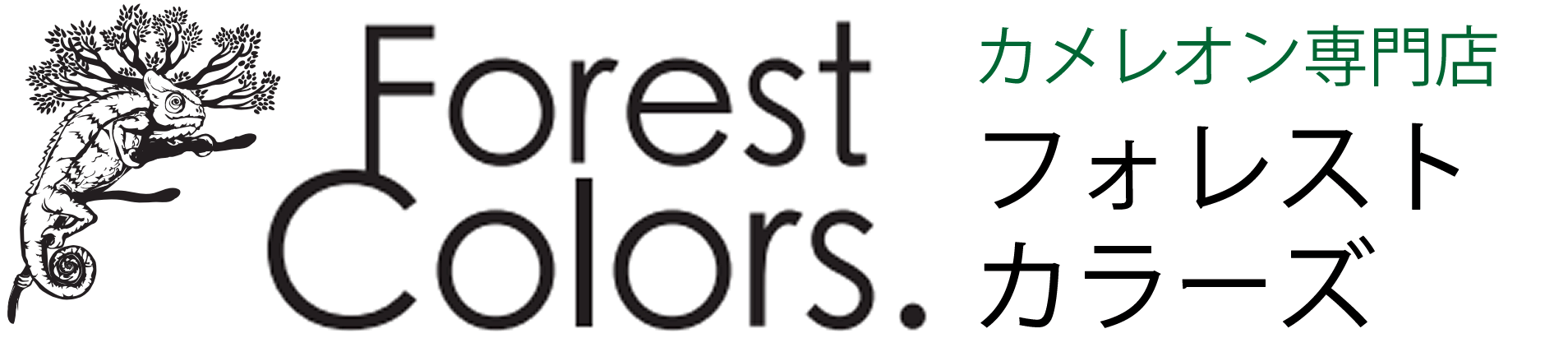 Forest Colors.（フォレストカラーズ）｜カメレオン専門店｜名古屋 愛知